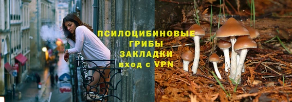 apvp Армянск