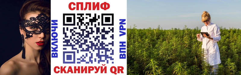 сколько стоит  Бавлы  Конопля индика 